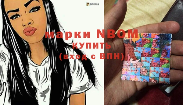 МДПВ Богородск