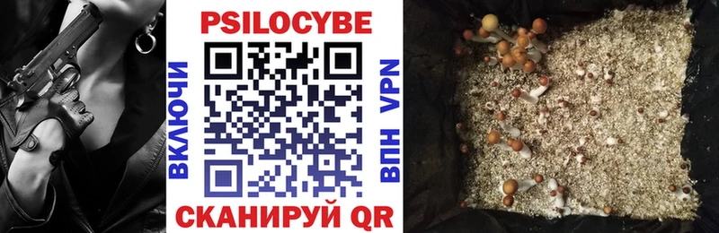 Купить где Орехово-Зуево Галлюциногенные грибы мицелий